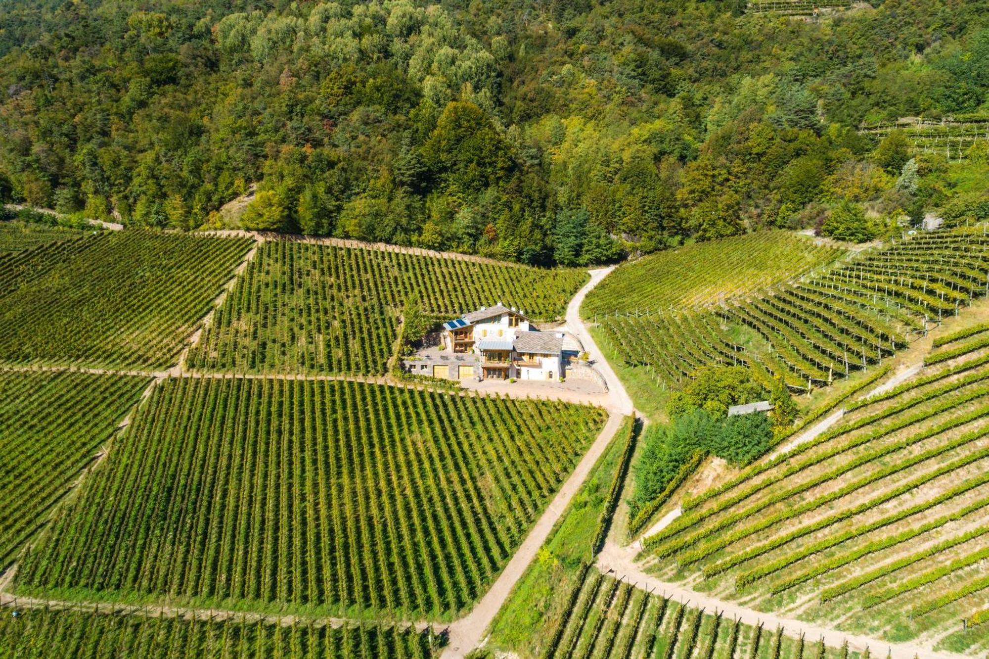 Agriturismo Maso Besleri Villa Cembra Lisignago Buitenkant foto